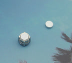 1CT*2 D Color VVS1 Moissanite Six-Claw Magnetic Stud Earrings