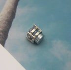 1CT*2 D Color VVS1 Moissanite Six-Claw Magnetic Stud Earrings